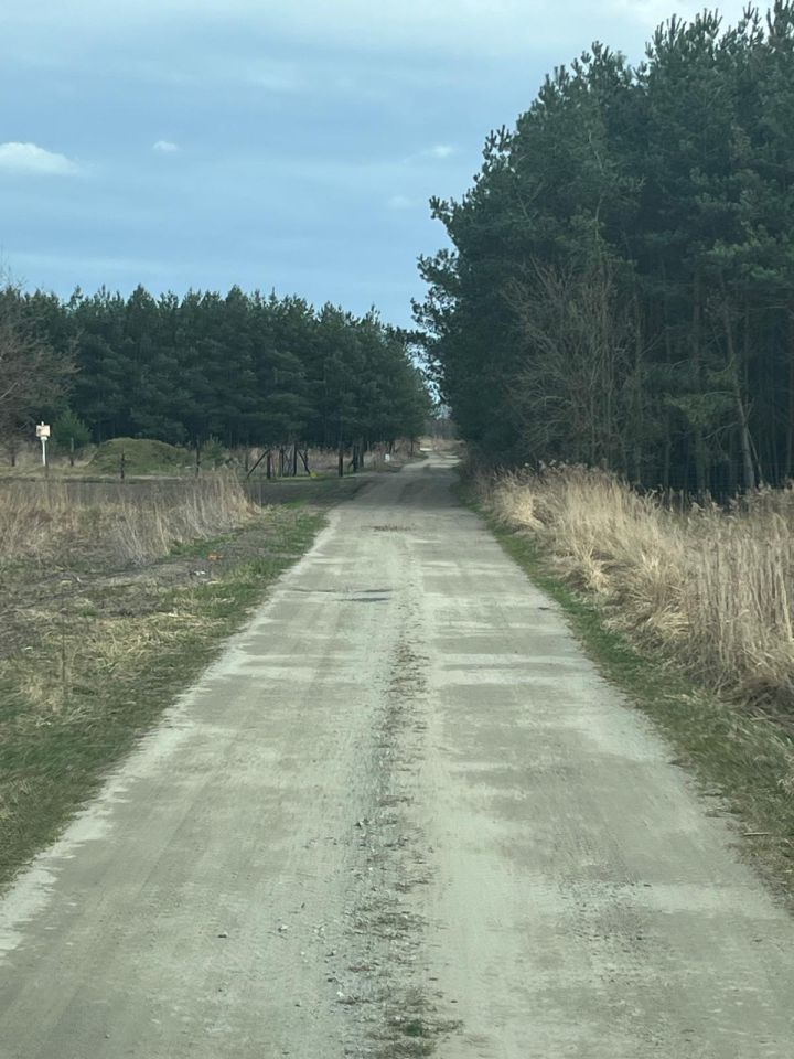 Działka budowlana Zimnica. Zdjęcie 2