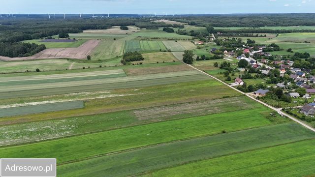 Działka rolna Kaczkowo. Zdjęcie 1