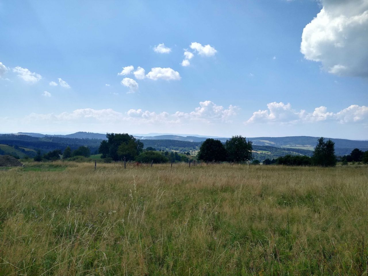 Działka Sierpnica. Zdjęcie 2