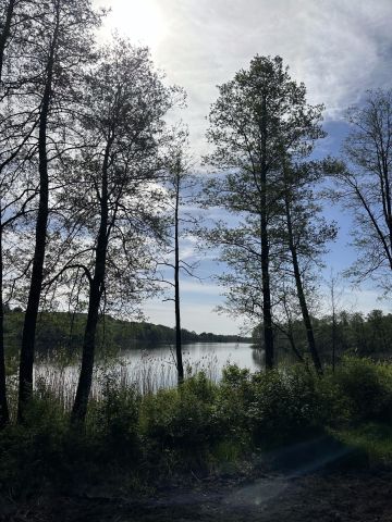 Działka rolno-budowlana Zbójno. Zdjęcie 7