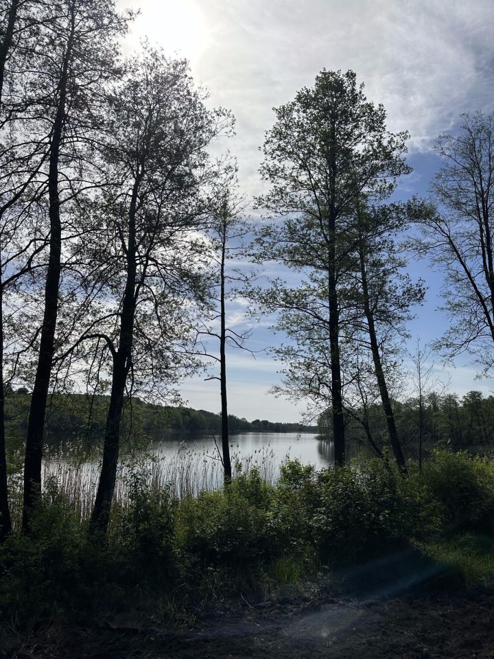 Działka rolno-budowlana Zbójno. Zdjęcie 7