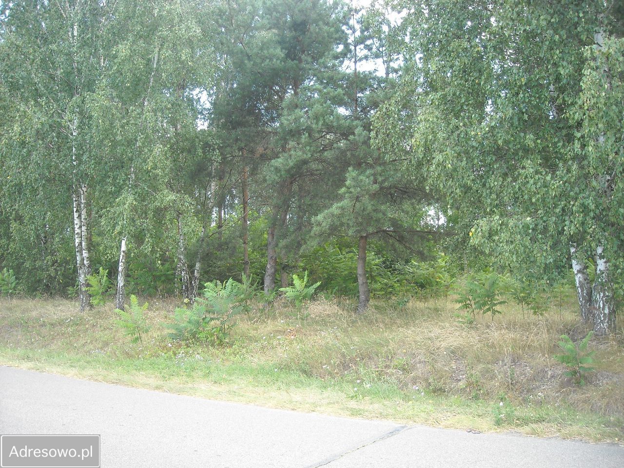 Działka budowlana Stare Koziminy. Zdjęcie 10