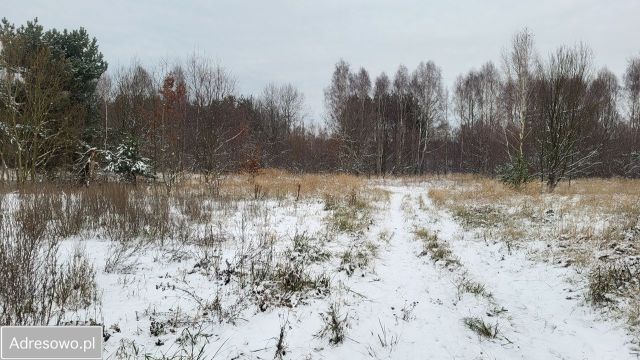 Działka budowlana Częstochowa Kiedrzyn, ul. Józefa Parczyńskiego. Zdjęcie 1