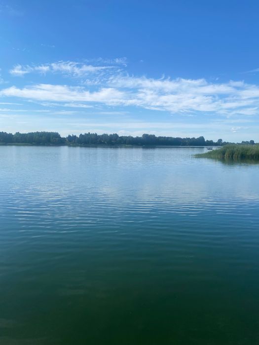Działka rekreacyjna Miłachówek. Zdjęcie 2