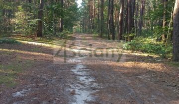 Działka leśna Sękocin-Las
