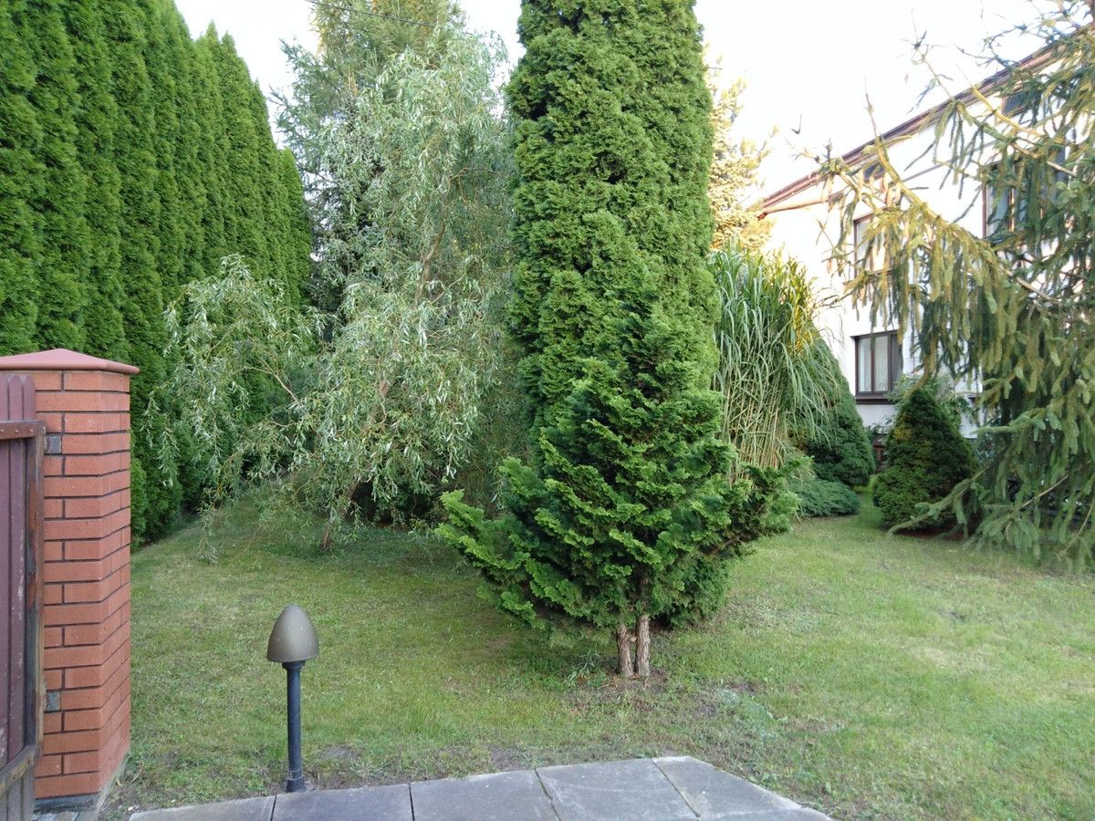 Działka siedliskowa Sobieszyn. Zdjęcie 12