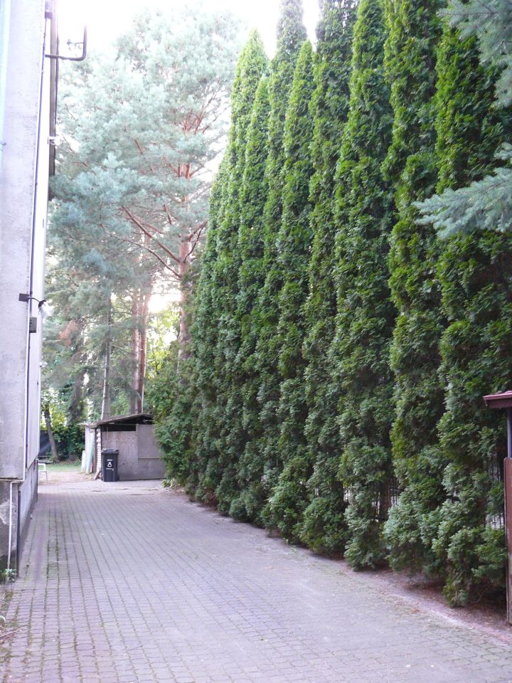 dom wolnostojący, 12 pokoi Warszawa Mokotów, ul. Wita Stwosza. Zdjęcie 5