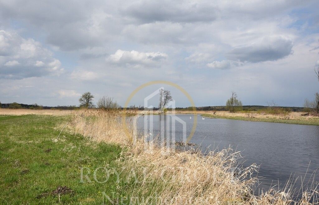 Działka rolna Giżyce. Zdjęcie 2