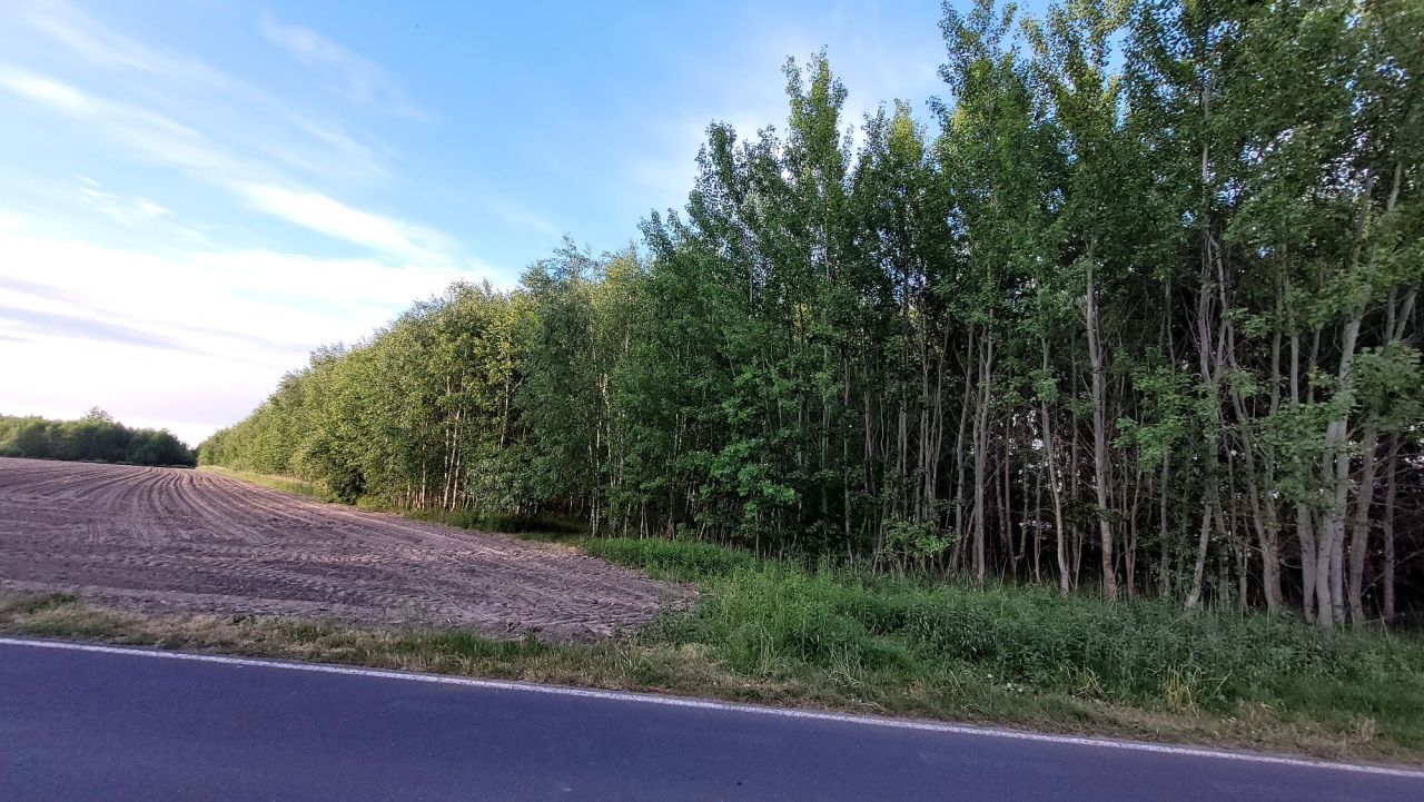 Działka rolna Adamowa Góra. Zdjęcie 3