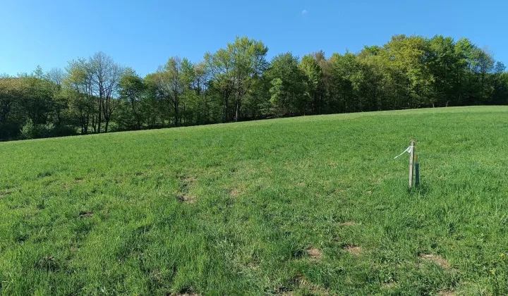 Działka rekreacyjna Wujskie