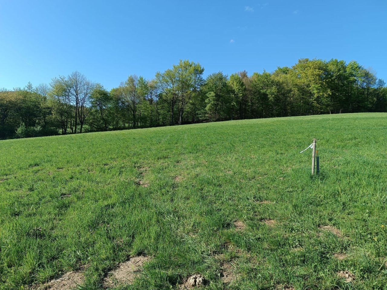 Działka rekreacyjna Wujskie