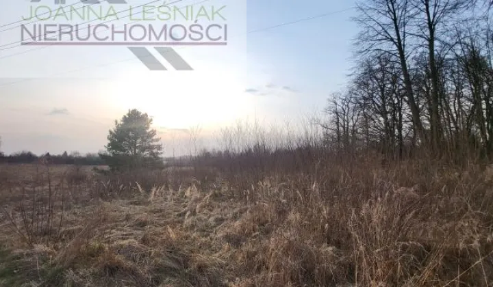 Działka budowlana Krzykawka, ul. Kościelna