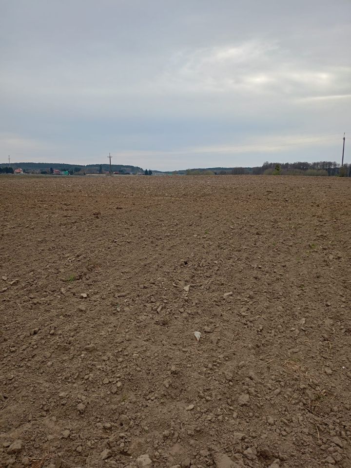 Działka rolno-budowlana Przybiernów, al. Wojska Polskiego. Zdjęcie 4