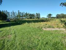 Działka rolna Wiślina. Zdjęcie 1