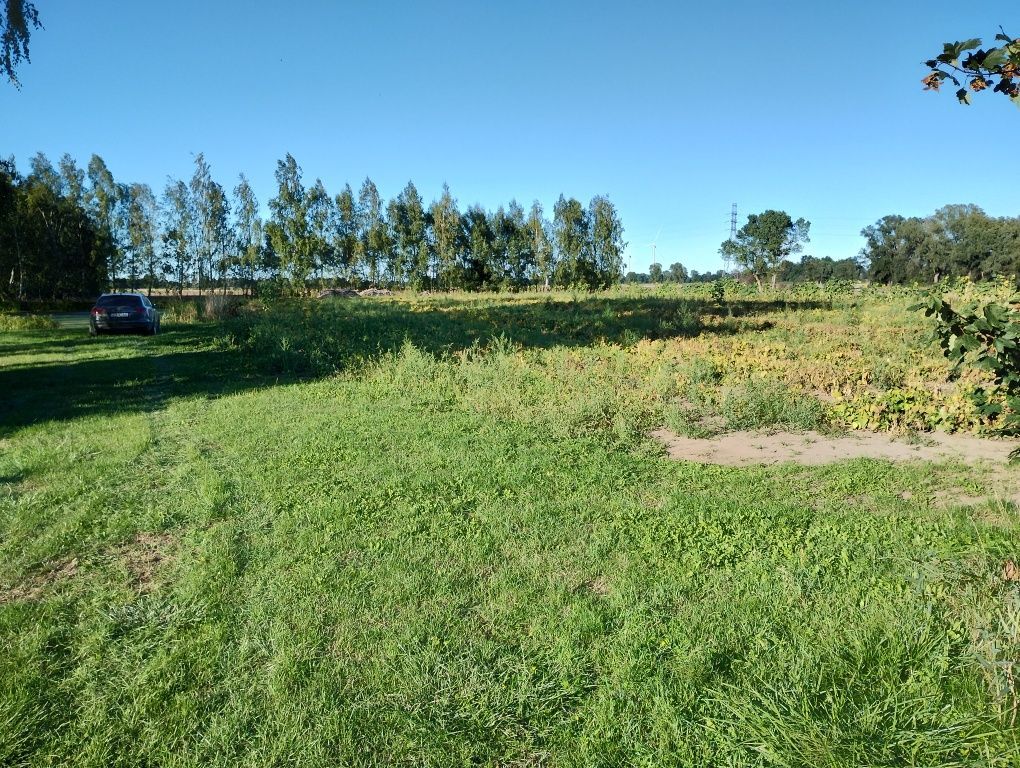 Działka rolna Wiślina. Zdjęcie 2