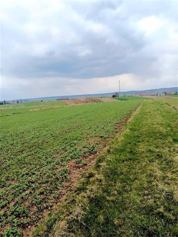 Działka rolna Niechobrz. Zdjęcie 4