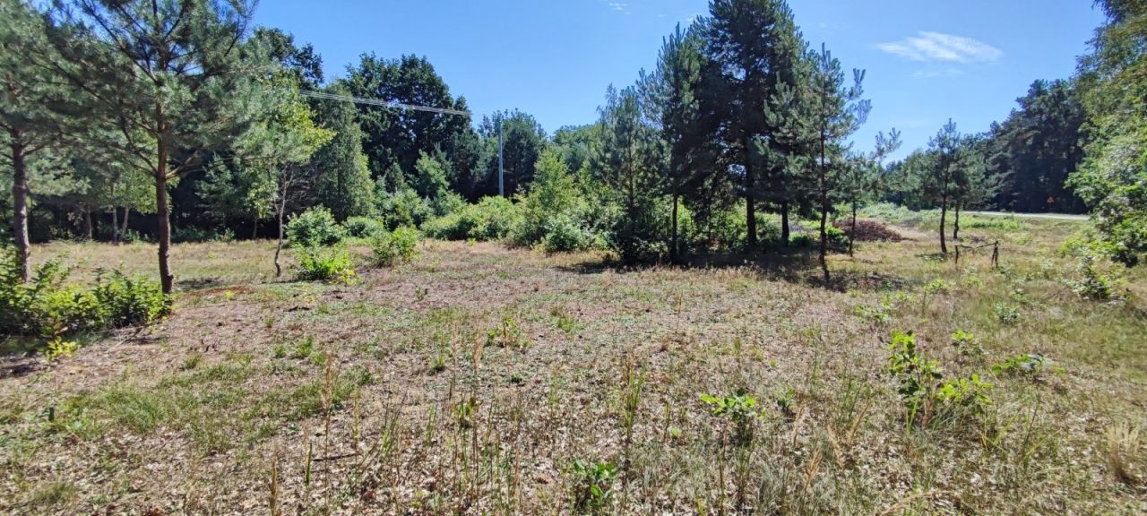 Działka budowlana Skoki. Zdjęcie 6