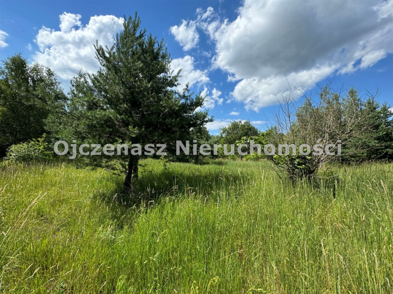 Działka budowlana Małe Rudy. Zdjęcie 2