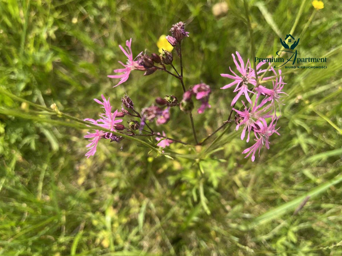 Działka budowlana Jaworze. Zdjęcie 17