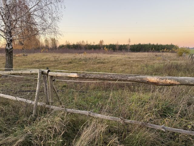 Działka rolna Krzemienica. Zdjęcie 3