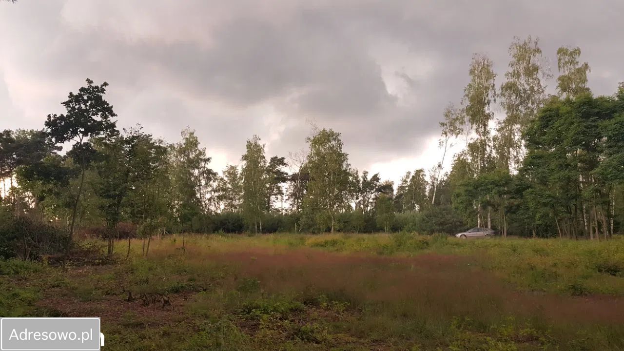 Działka rolno-budowlana Grodnia. Zdjęcie 18
