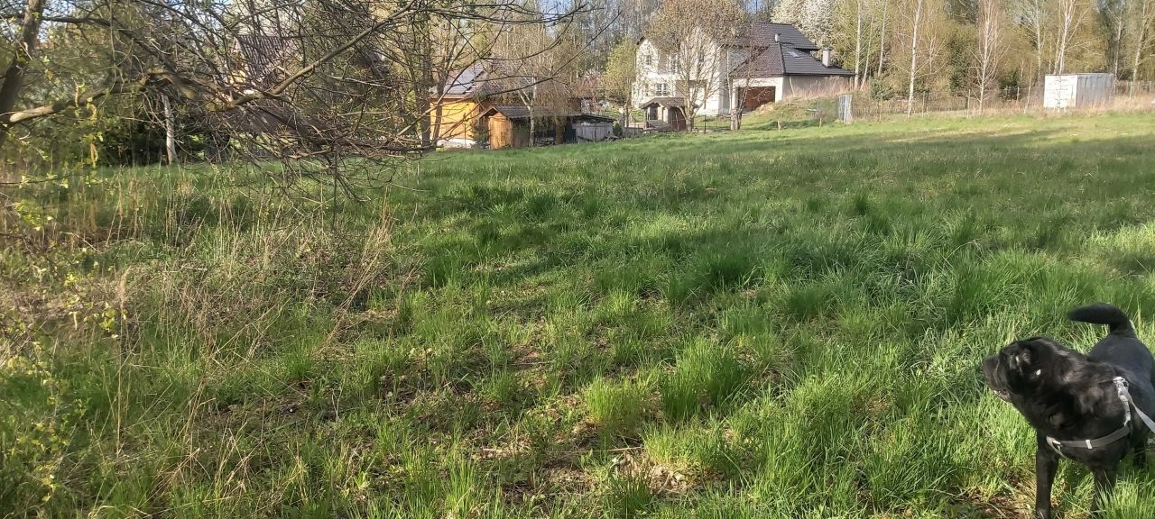 Działka budowlana Snopków, ul. Widokowa. Zdjęcie 2