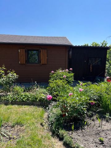 Działka rod Gdańsk Olszynka, ul. Modra. Zdjęcie 1