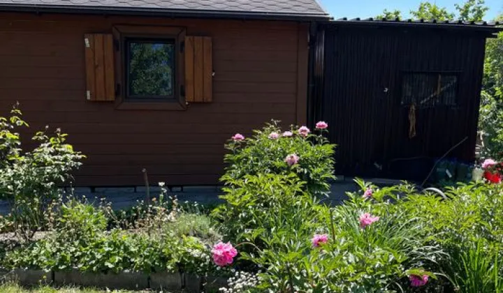 Działka rod Gdańsk Olszynka, ul. Modra