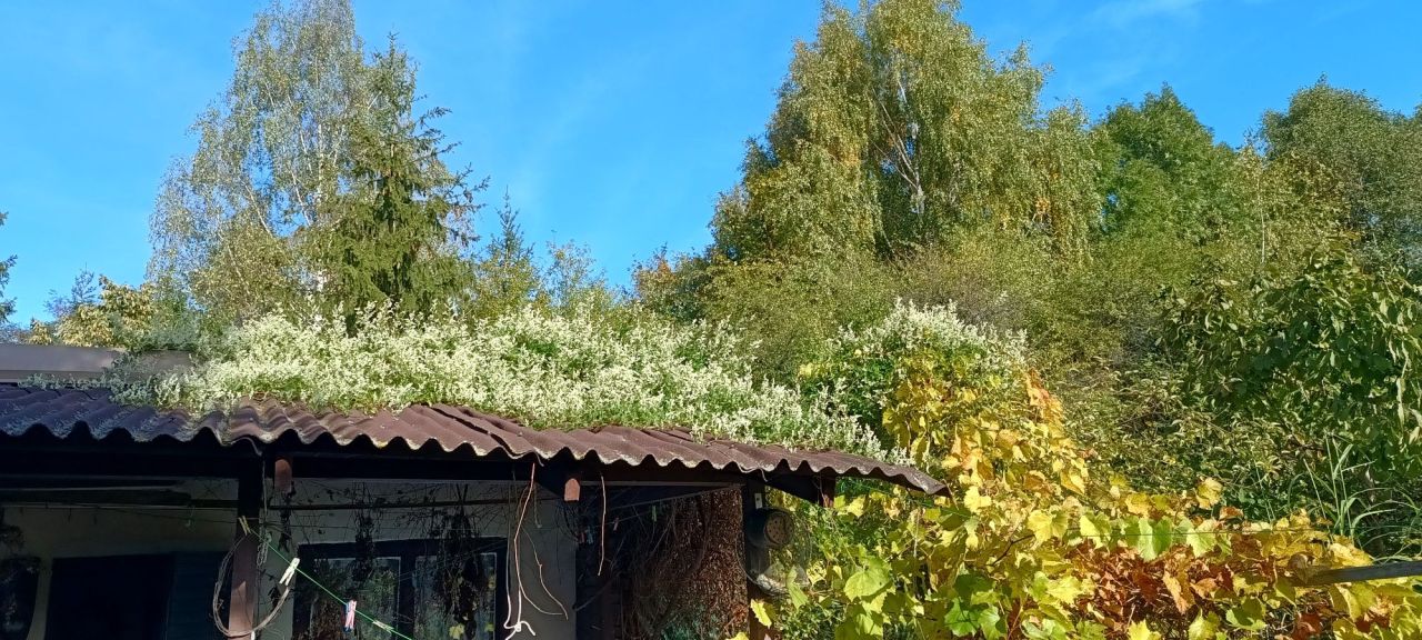 Działka rod Giżycko, ul. Myśliwska. Zdjęcie 3