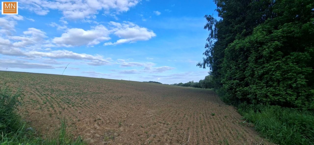 dom wolnostojący, 4 pokoje Łuczyce, ul. Pod Lasem. Zdjęcie 13