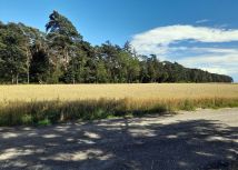 Działka budowlana Srocko Małe. Zdjęcie 1