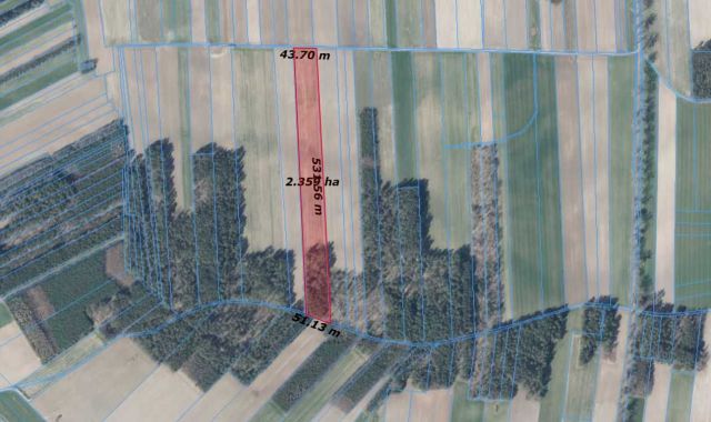 Działka rolna Gruszka. Zdjęcie 1
