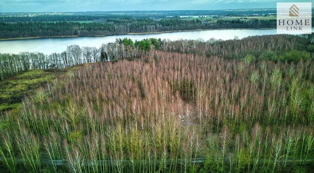 Działka rekreacyjna Stare Miasto. Zdjęcie 7