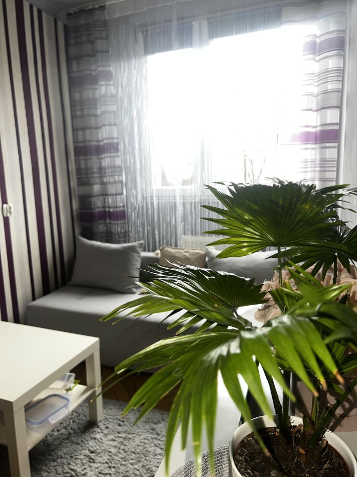 Mieszkanie 3-pokojowe Nowy Sącz Stare Miasto, Rynek. Zdjęcie 6