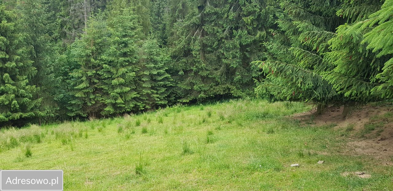 Działka inwestycyjna Leśnica. Zdjęcie 5