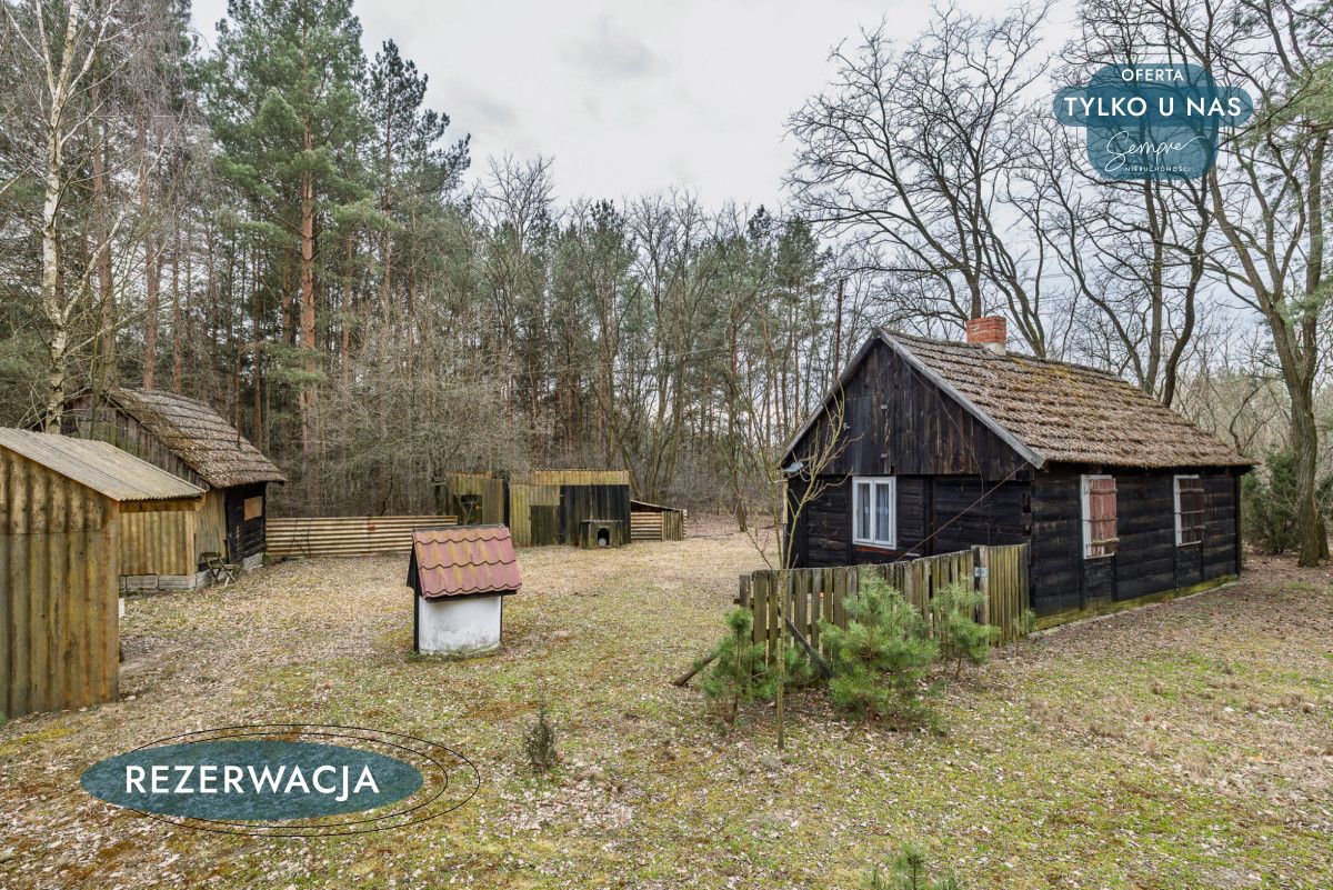 Działka leśna Kije. Zdjęcie 22