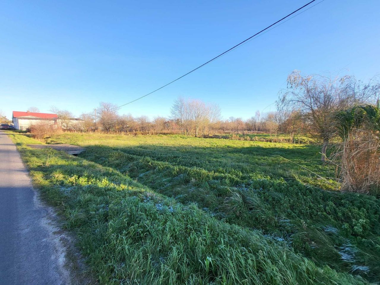 Działka rolna Bielkowo. Zdjęcie 4