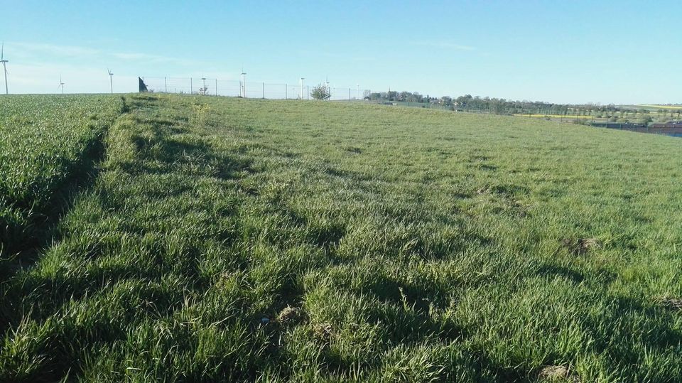 Działka budowlana Darłowo, ul. Słoneczna. Zdjęcie 2