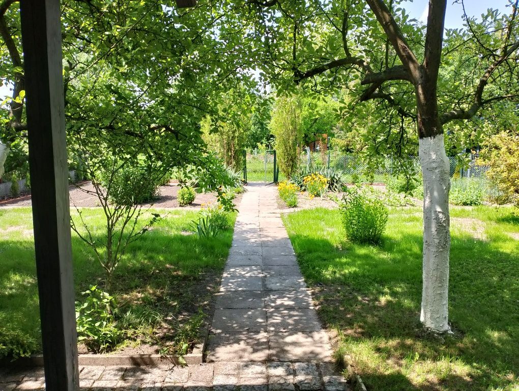 Działka rod Opole Zaodrze, ul. Szymona Koszyka