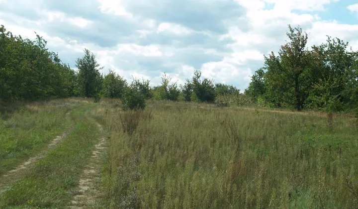 Działka budowlana Rembertów, ul. Górna