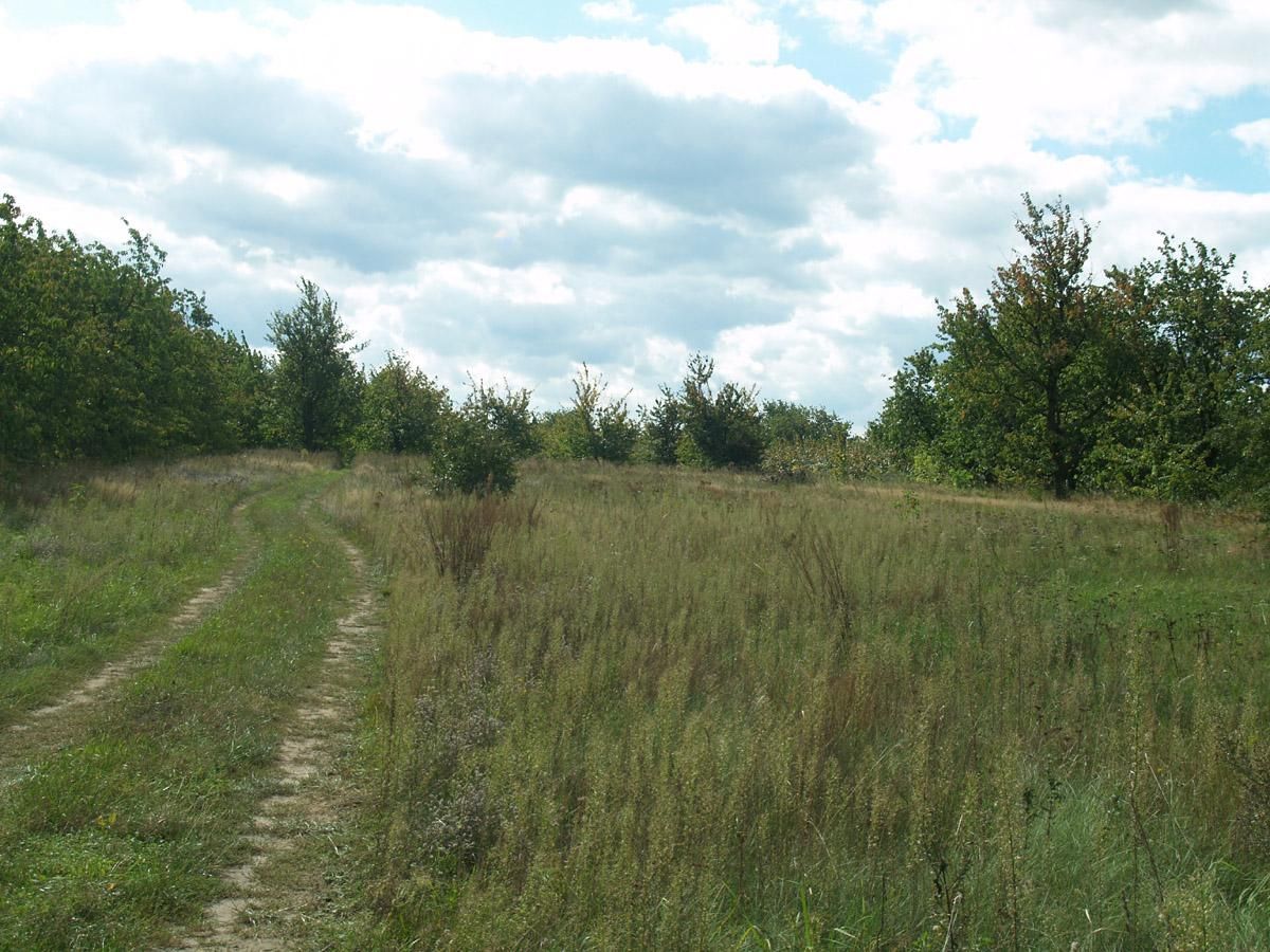 Działka budowlana Rembertów, ul. Górna