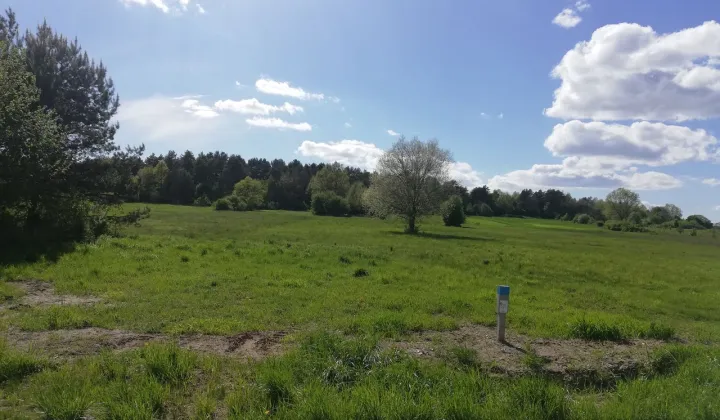 Działka budowlana Szewce, ul. Ołowiana