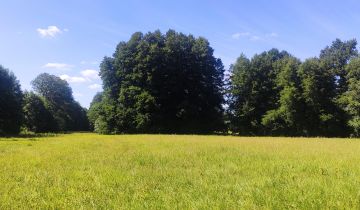 Działka rolna Chwalęcice, ul. Topolowa