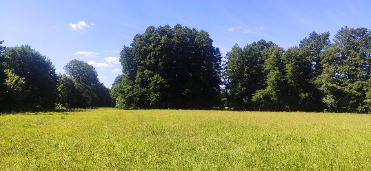 Działka rolna Chwalęcice, ul. Topolowa. Zdjęcie 2