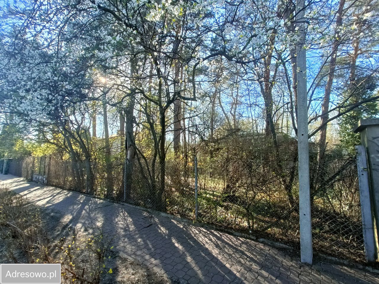 Działka budowlana Milanówek, ul. Piotra Skargi. Zdjęcie 2