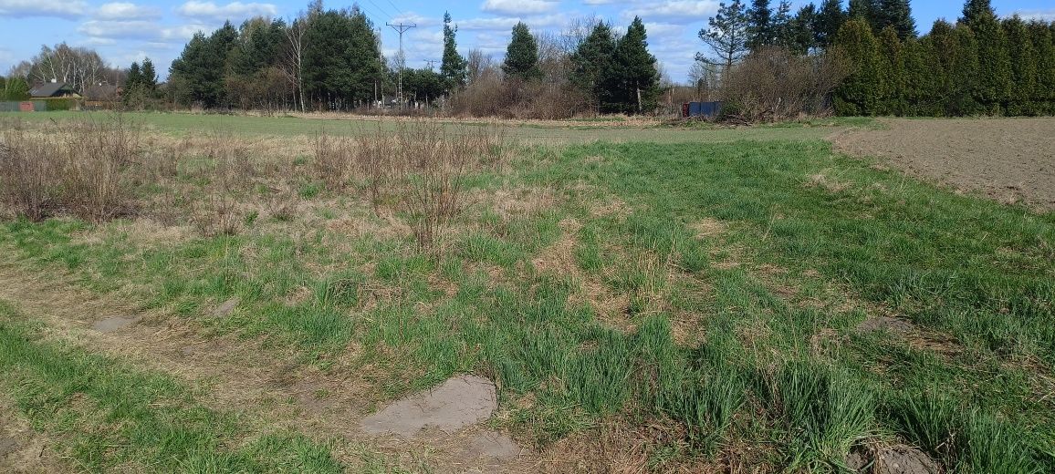 Działka budowlana Gorzyce, ul. A. Mickiewicza. Zdjęcie 1