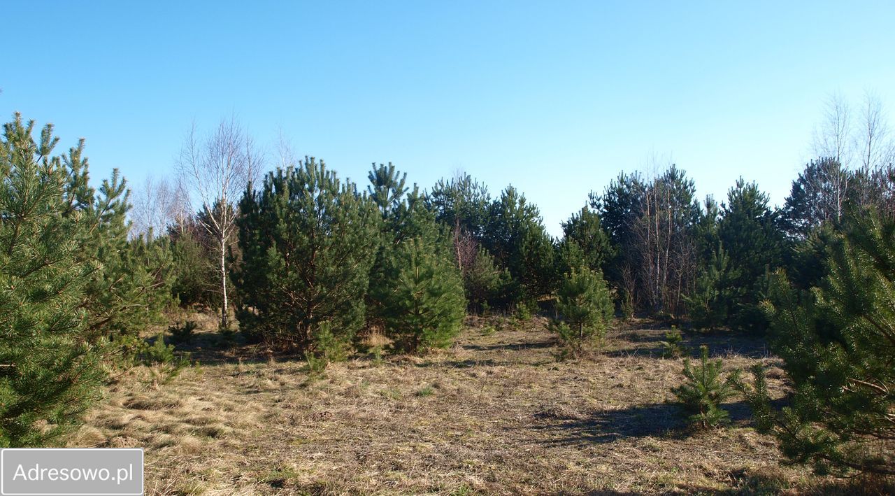 Działka rekreacyjna Lipy. Zdjęcie 6