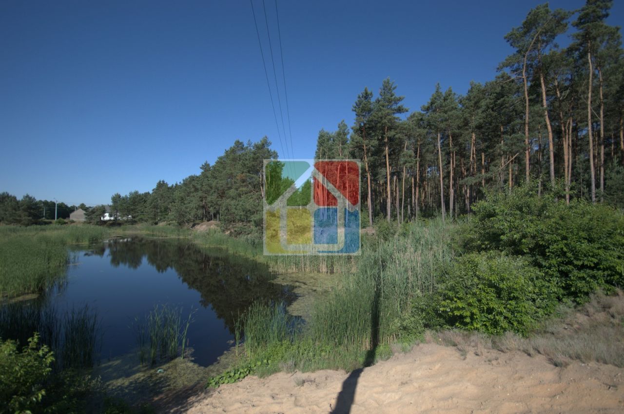 Działka leśna Kiełpieniec Mniszek. Zdjęcie 3