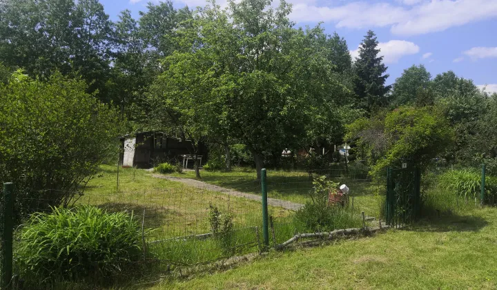 Działka rod Zabrze Centrum, ul. Opawska