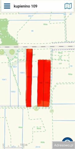 Działka rolna Kupienino. Zdjęcie 1